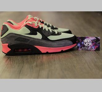 Giày Nike Air Max 90 (04)
