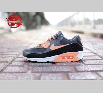Giày Nike Air Max 90