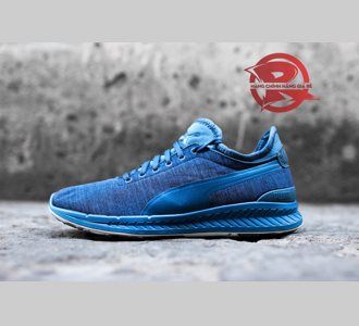 Giày Puma Ignite Sock Jersey ( 04 )