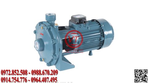 Bơm nước công nghiệp liền trục Elanta N 50-125 A (VT-ELT81)