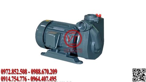 Máy bơm trục ngang AP​P HC 20 (1. 5KW) (VT-APP33)