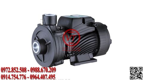 Máy bơm ly tâm gia đình Pumpman 2DK-20 (VT-PMAN115)