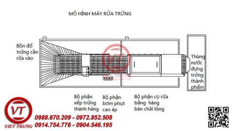 Máy rửa và phân loại trứng (VT-MRT01)