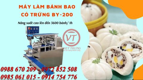 Máy làm bánh bao có trứng BY-200 (VT-MLBTD03)