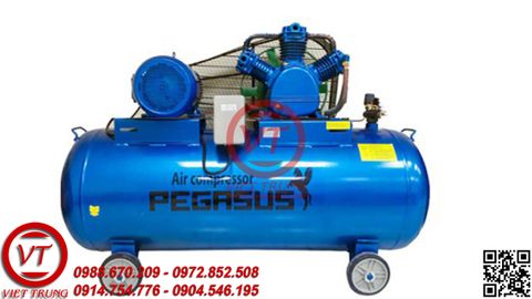 Máy nén khí dây đai PEGASUS TM-W-1.0/8-500L(VT-MNK116)