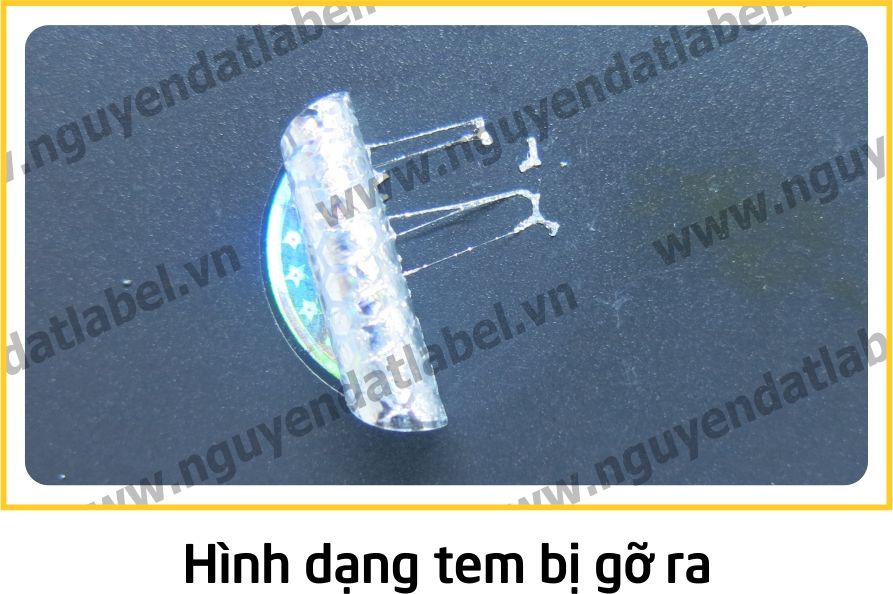 In tem niêm phong lấp lánh Nguyên Đạt 12