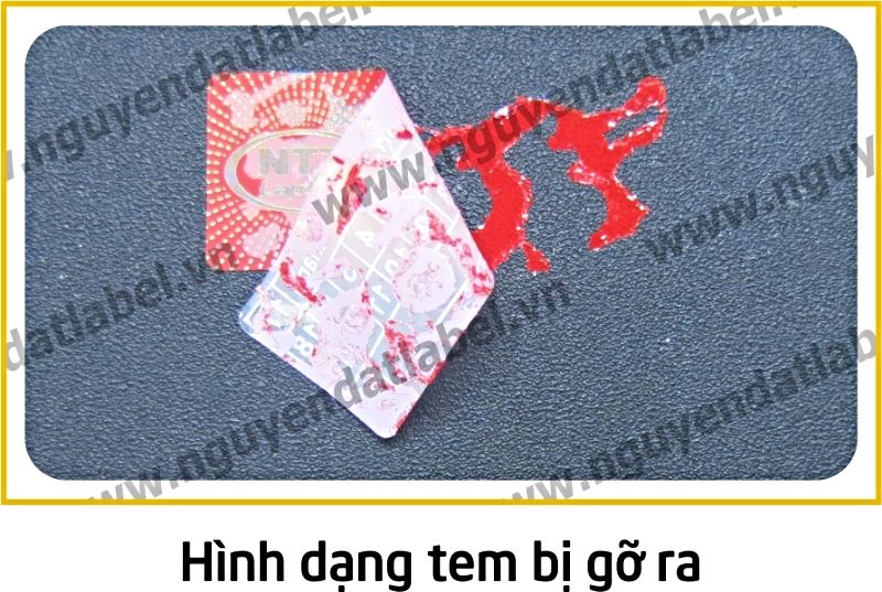 Tem Bảo Hành NP019