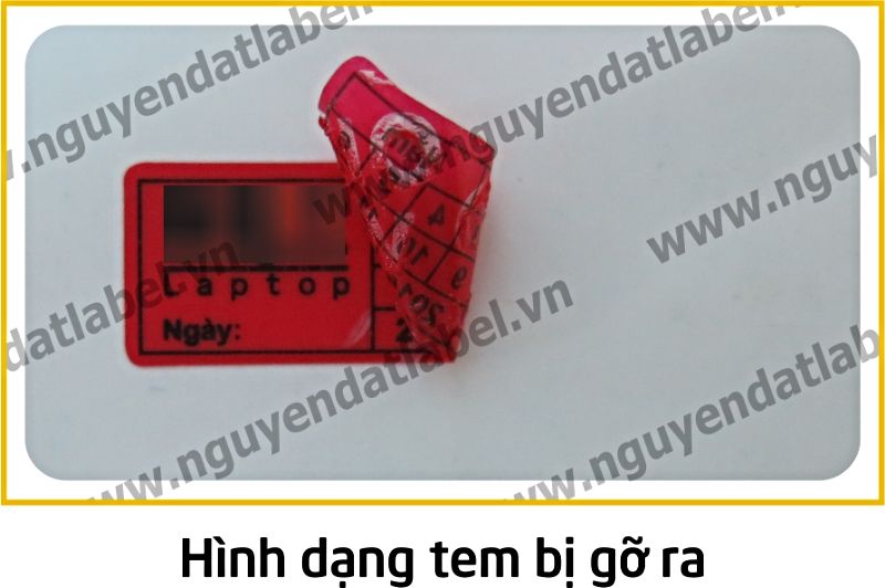 Tem Bảo Hành NP015