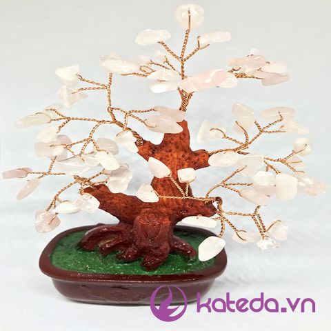 Cây Bonsai Đá Thạch Anh Hồng KATEDA