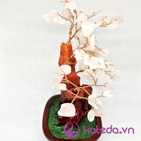 Cây Bonsai Đá Thạch Anh Hồng KATEDA