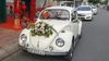 VOLKSWAGEN BEETLE XE CỔ - WD