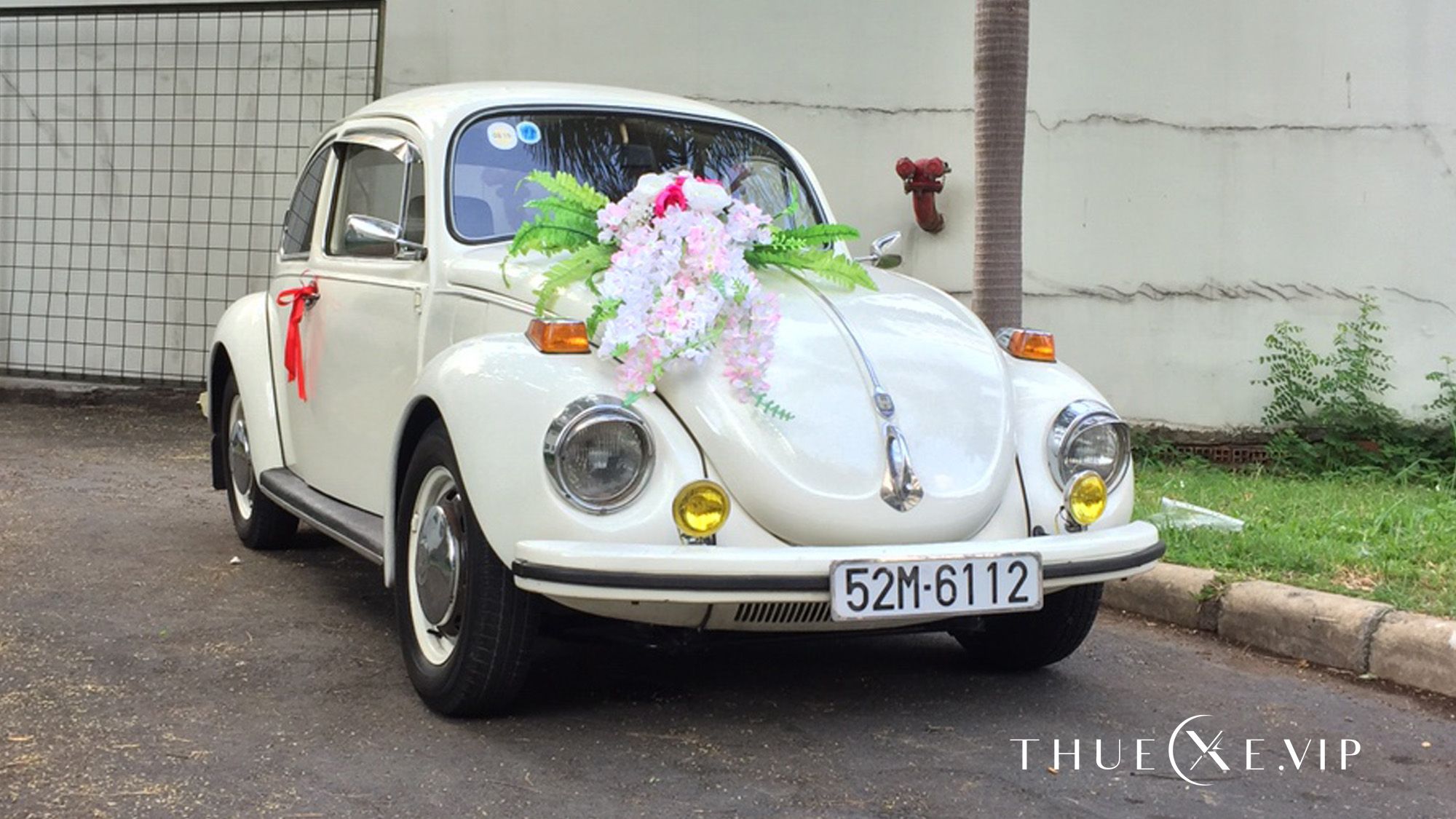 VOLKSWAGEN BEETLE XE CỔ - WD