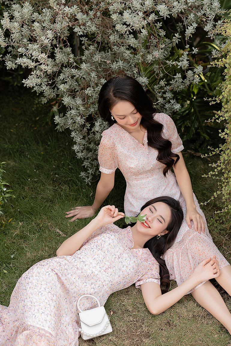 ĐẦM HOA NHÍ 3376