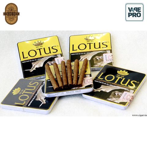 cigar-lotus-mini-10-dieu