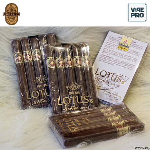 cigar-lotus-s-1-dieu