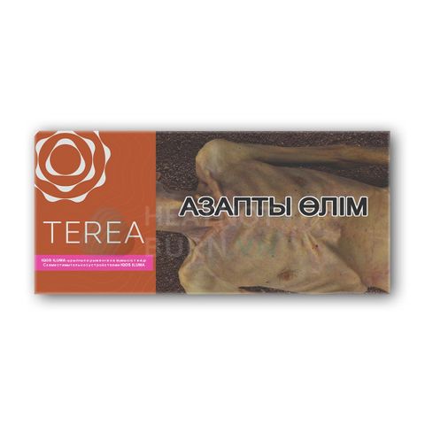 terea-amber-kazakhstan