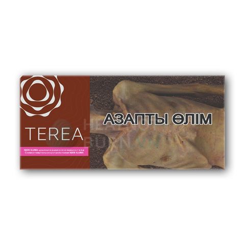 terea-bronze-kazakhstan