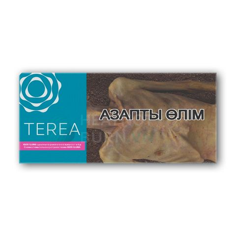 terea-turquoise-kazakhstan