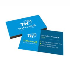 MẪU CARD VISIT KINH DOANH