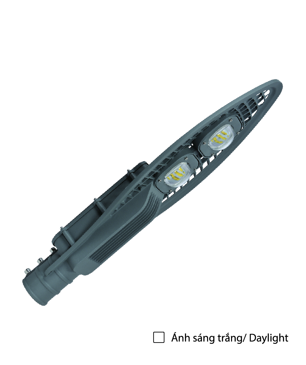 Đèn đường LED Điện Quang ĐQ LEDSL04 100765 (100W Daylight)