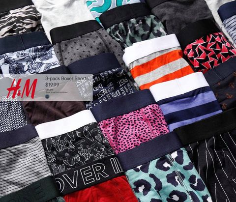 H.M Boxer