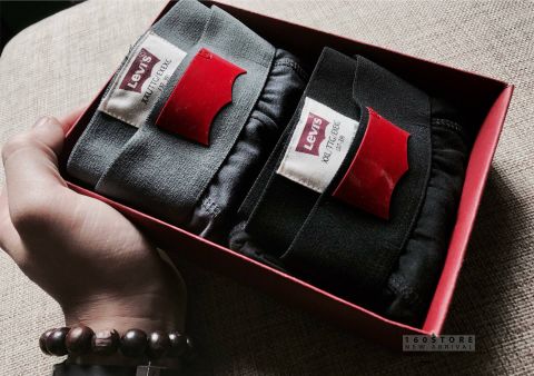LVIS Boxer