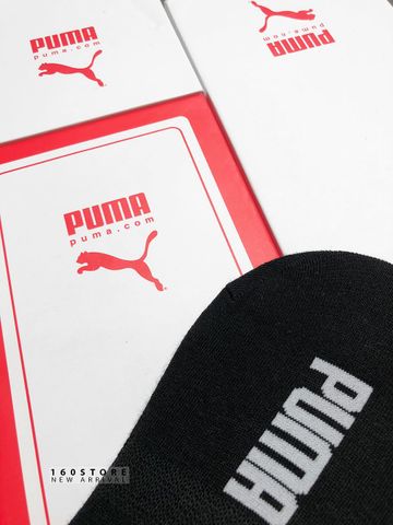 PMA Socks - 6 Pack