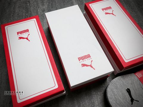 PMA Socks - 6 Pack