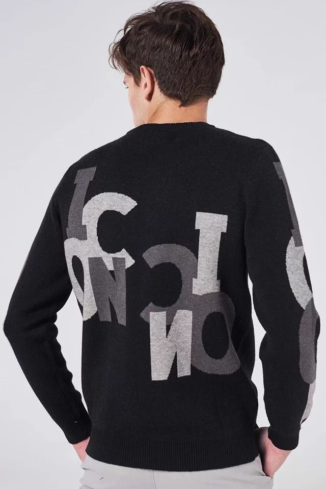 Sweater ICON DENIM Pun
