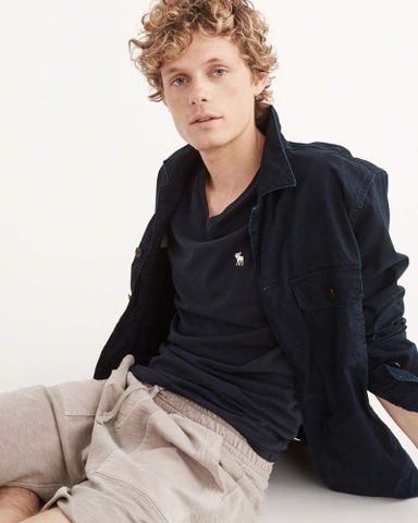 A&F Icon V-Neck Tees