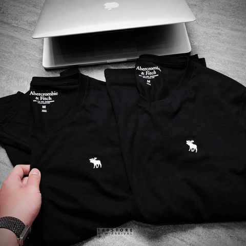 A&F Icon V-Neck Tees