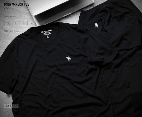 A&F Icon V-Neck Tees