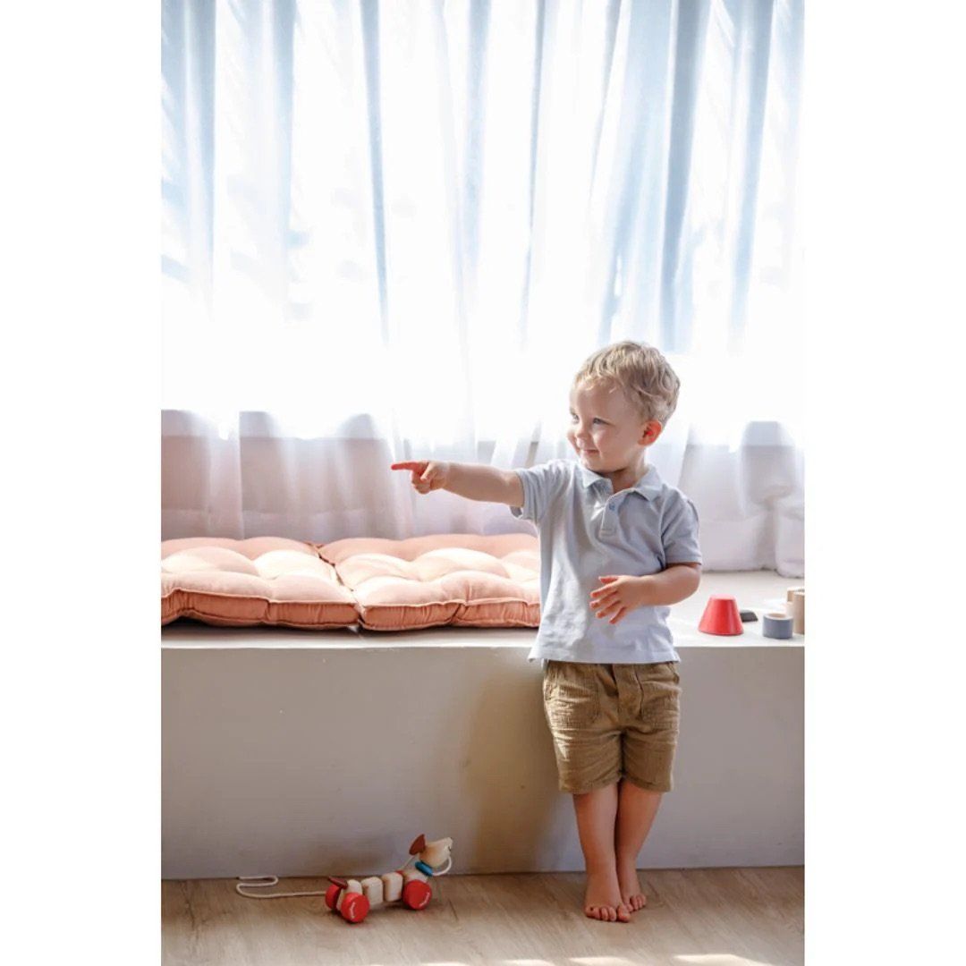 Đồ Chơi Gỗ PlanToys Xe Kéo Thú Nhún Cún Vui Vẻ Cho Bé 12M+