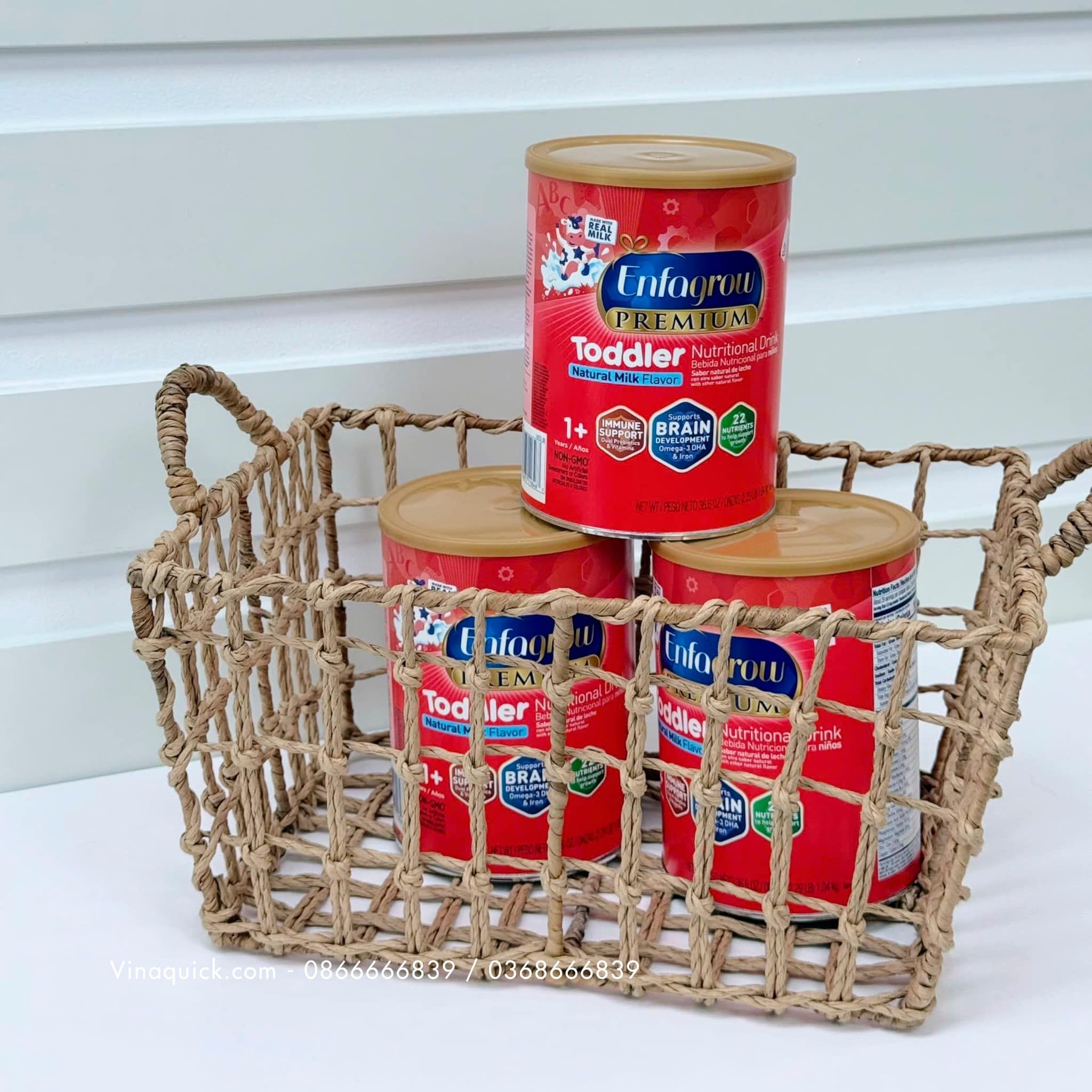 Sữa Enfagrow Premium Toddler Nutritional Drink - Natural Milk Flavor Cho Bé Từ 12 - 36 Tháng (1.04kg)