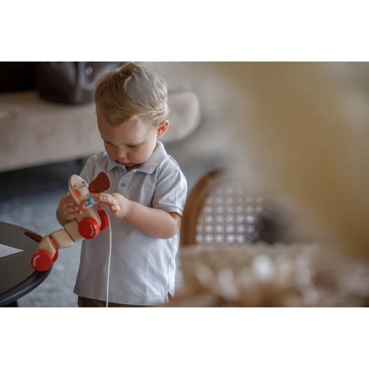 Đồ Chơi Gỗ PlanToys Xe Kéo Thú Nhún Cún Vui Vẻ Cho Bé 12M+