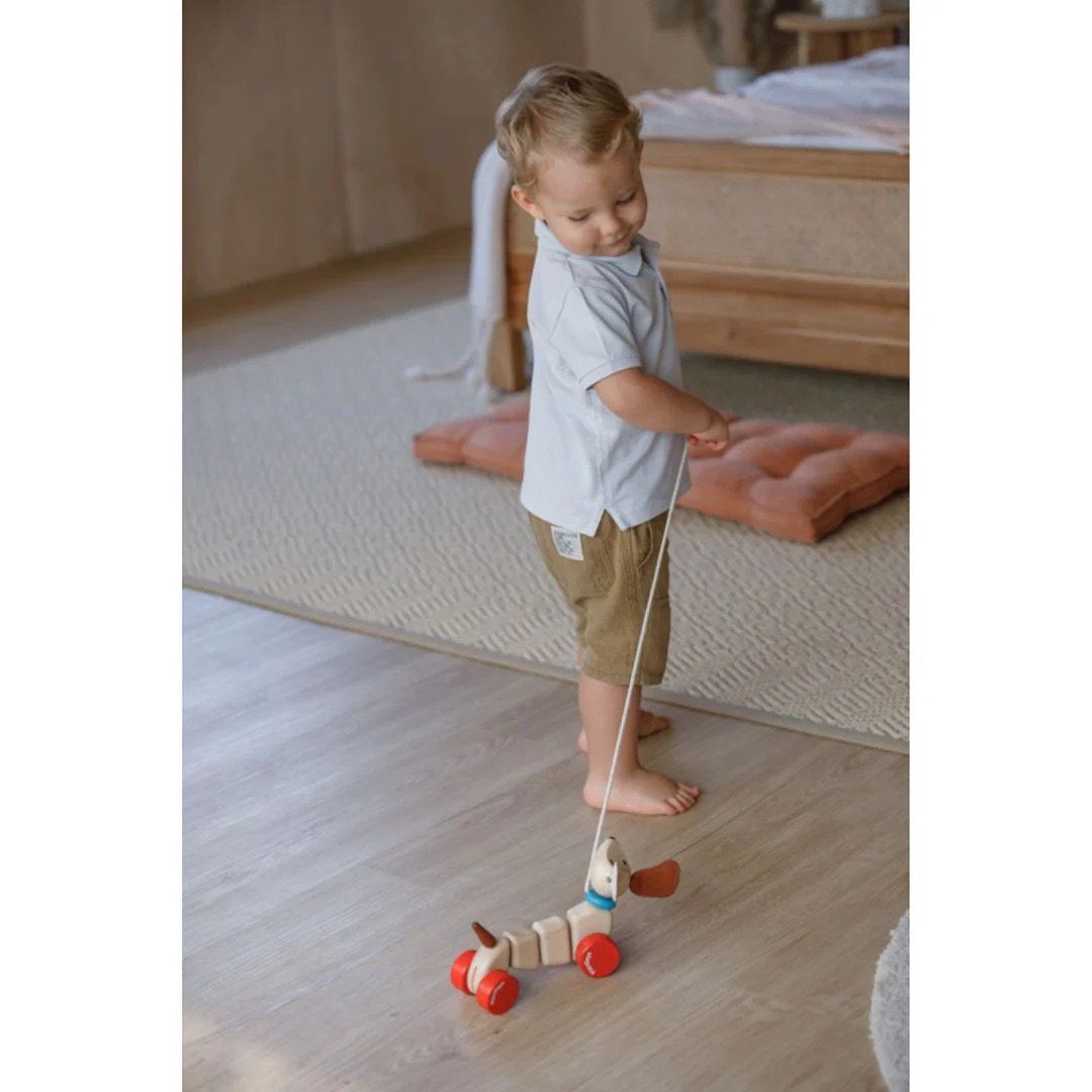 Đồ Chơi Gỗ PlanToys Xe Kéo Thú Nhún Cún Vui Vẻ Cho Bé 12M+