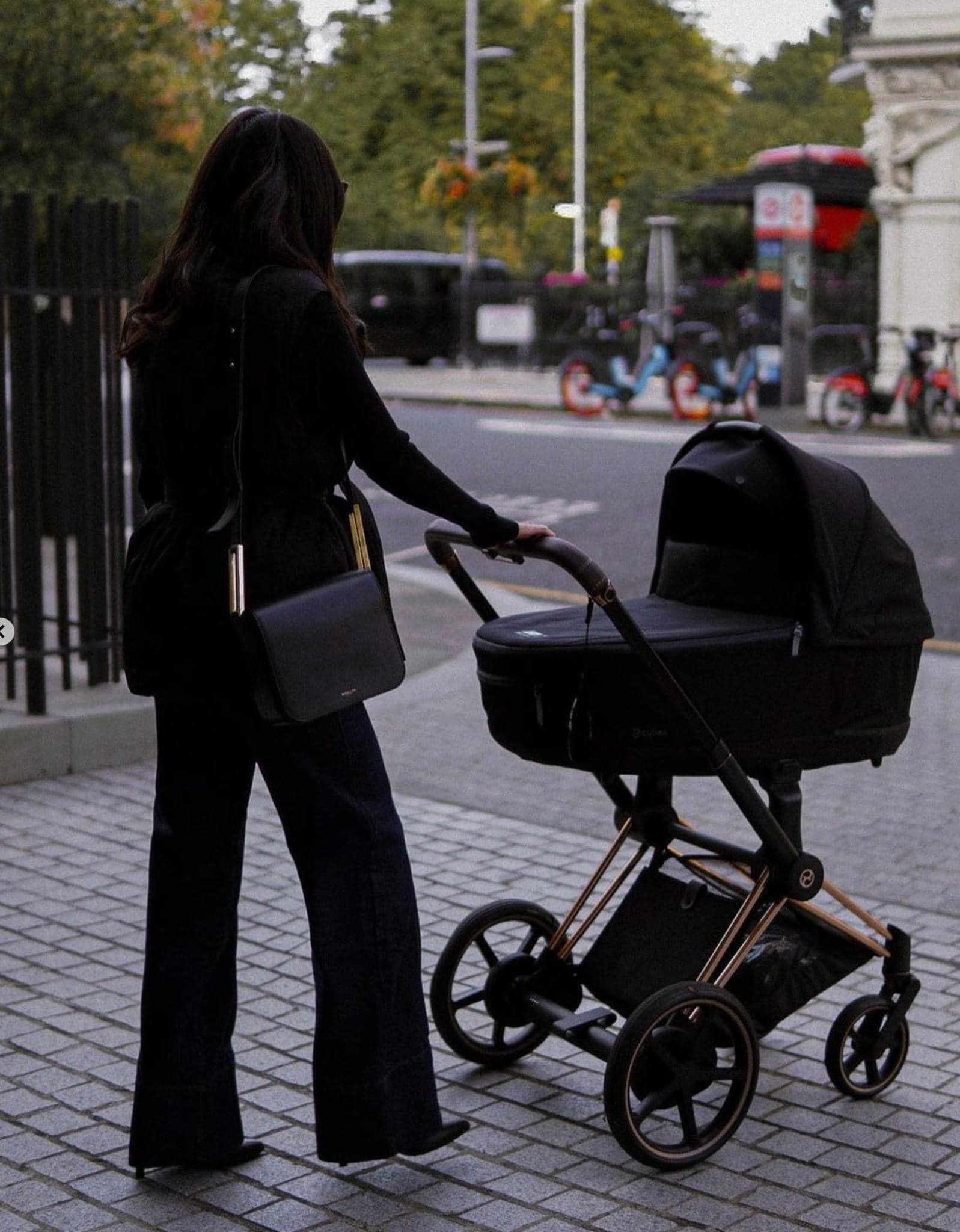 Nôi sơ sinh Cybex Priam Lux Carry Cot