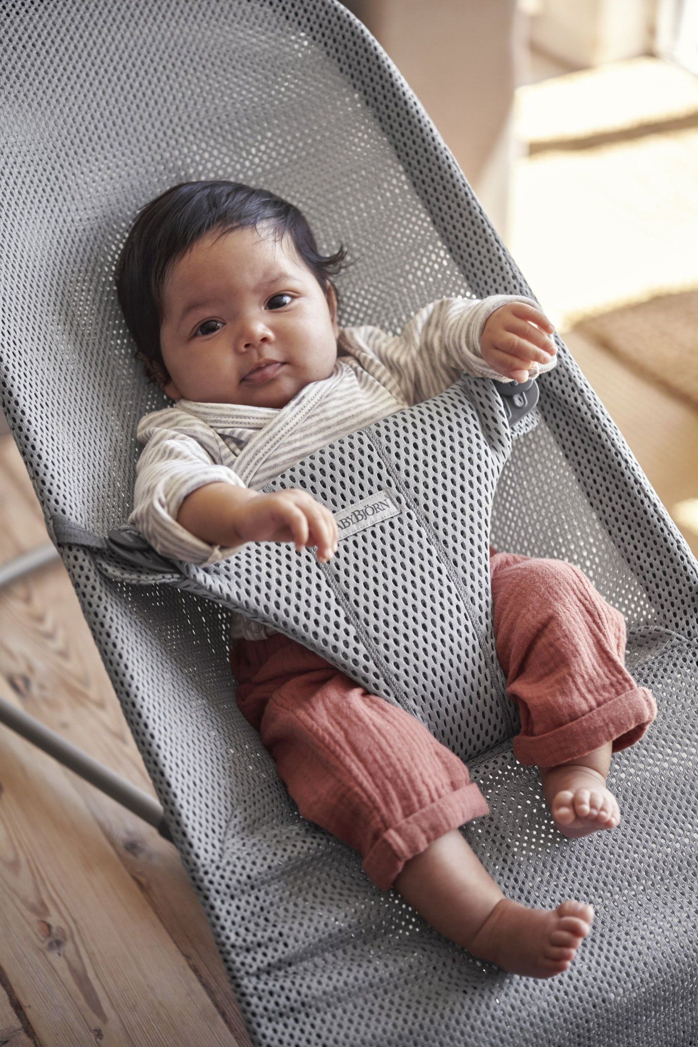 Ghế Rung Baby Bjorn Bouncer Bliss Vải Lưới Mesh