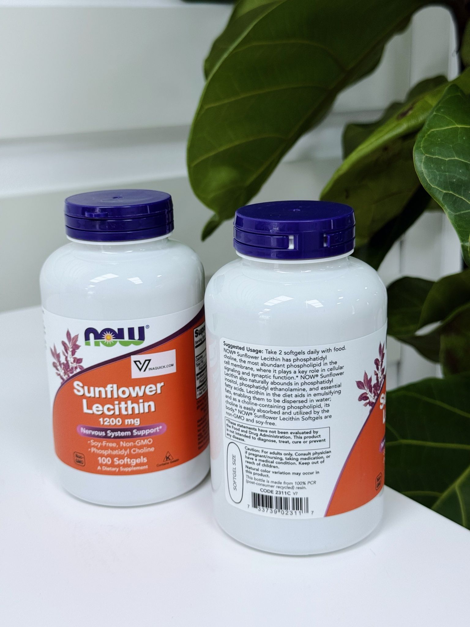 Viên uống chống tắc tia sữa Now Sunflower Lecithin 1200 mg (100V)