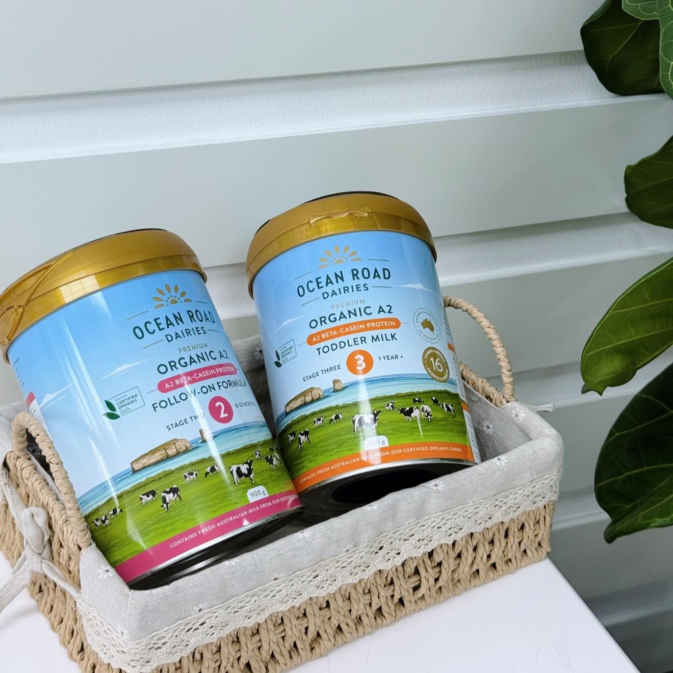 Sữa Ocean Road Dairies Infant Organic A2 Số 1 Cho Bé Từ 0-6 Tháng (900g)