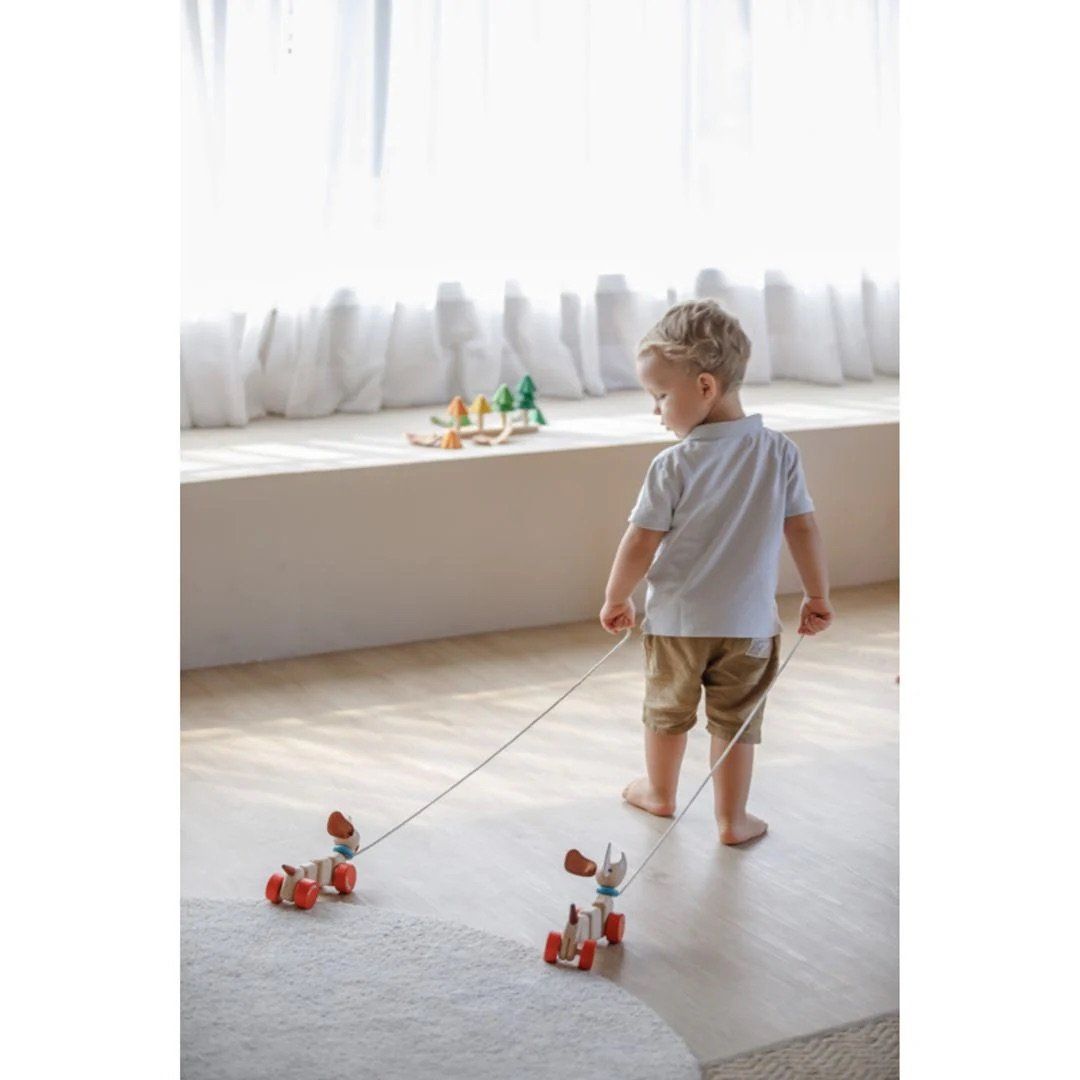 Đồ Chơi Gỗ PlanToys Xe Kéo Thú Nhún Cún Vui Vẻ Cho Bé 12M+