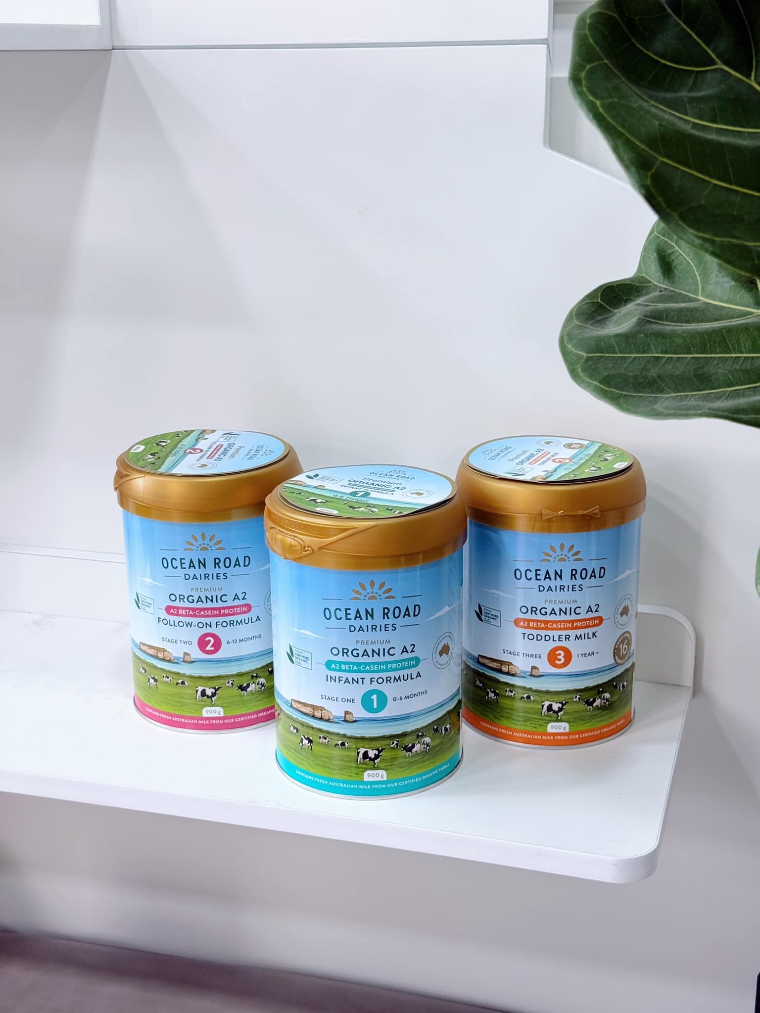Sữa Ocean Road Dairies Infant Organic A2 Số 1 Cho Bé Từ 0-6 Tháng (900g)