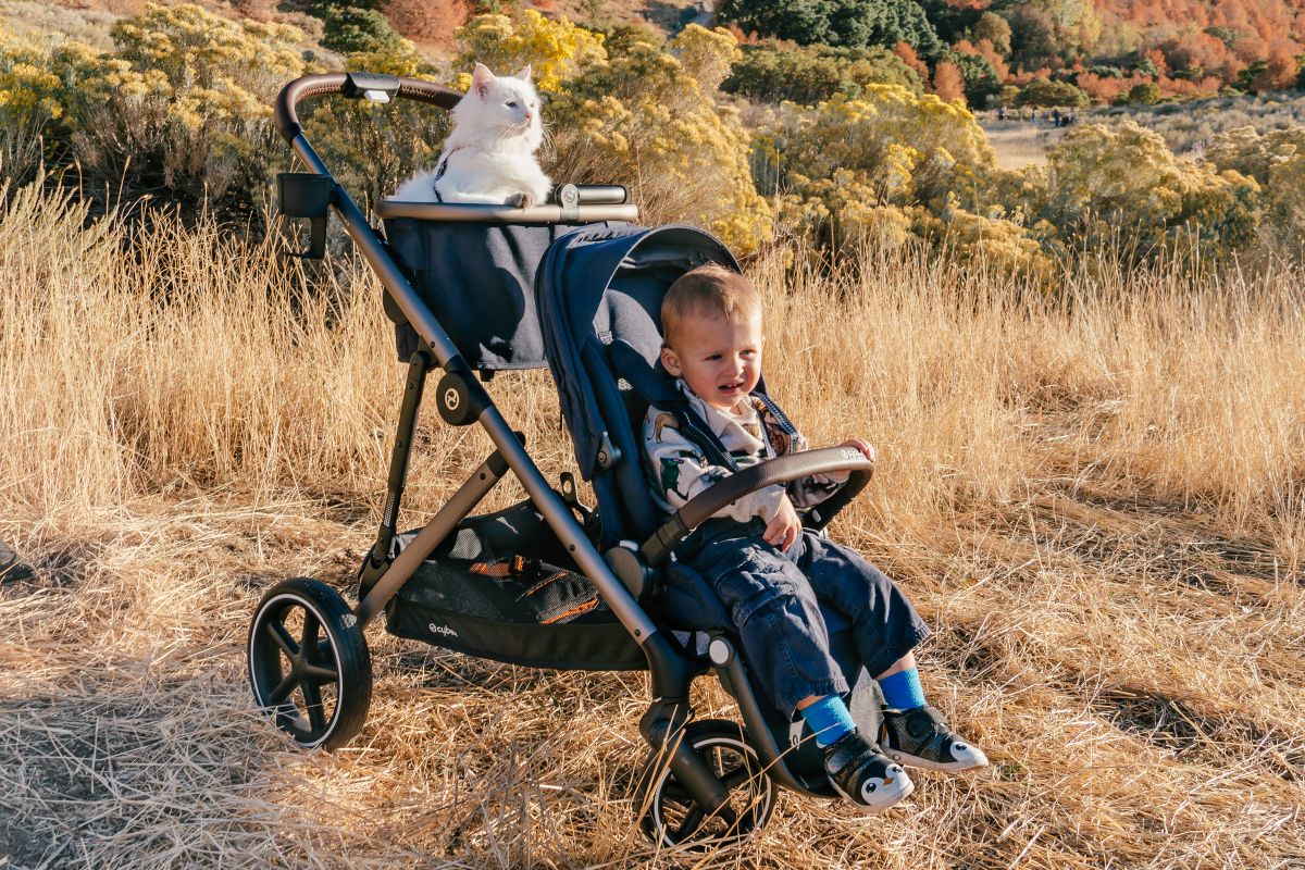 Xe đẩy Cybex Gazelle S - Moon Black