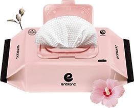 Khăn Ướt Chiết Xuất Từ Cây Mugung Cho Bé ENBLANC INDIPINK - 20 Tờ