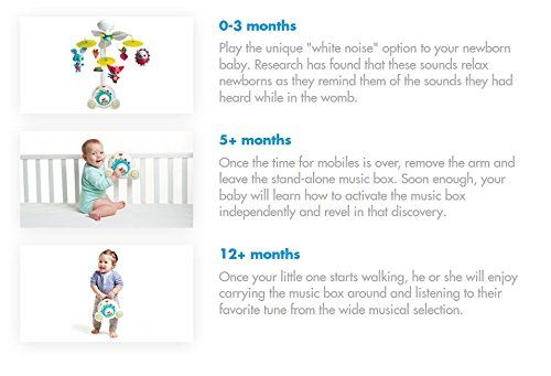 Đồ chơi treo nôi cũi Tiny Love Soothe 'N Groove Mobile - Meadow Days