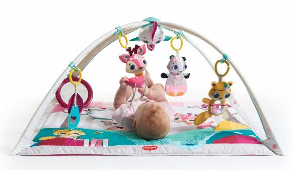 Thảm chơi Tiny Love Gymini Deluxe - Tiny Princess Tales