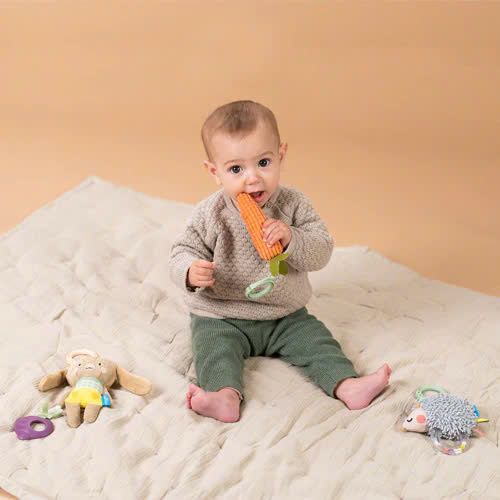 Set 3 Món Đồ Chơi Treo Cũi, Xe Đẩy Phát Triển Vận Động Taf Toys Activity Toys Kit