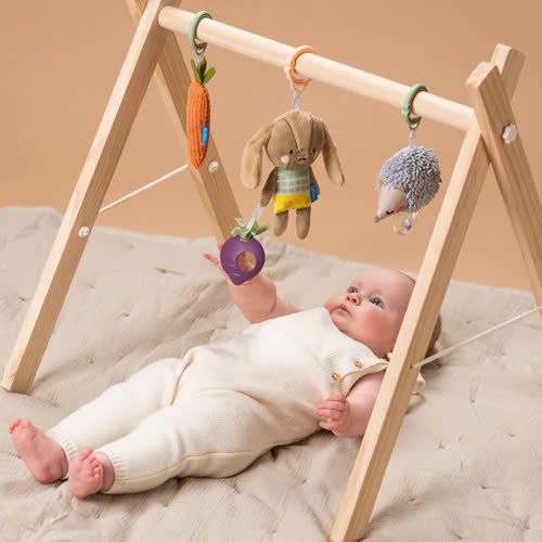 Set 3 Món Đồ Chơi Treo Cũi, Xe Đẩy Phát Triển Vận Động Taf Toys Activity Toys Kit
