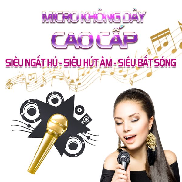 Kết quả hình ảnh cho karaoke vidia