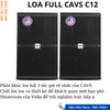 Loa Full CAVS 12 Seri